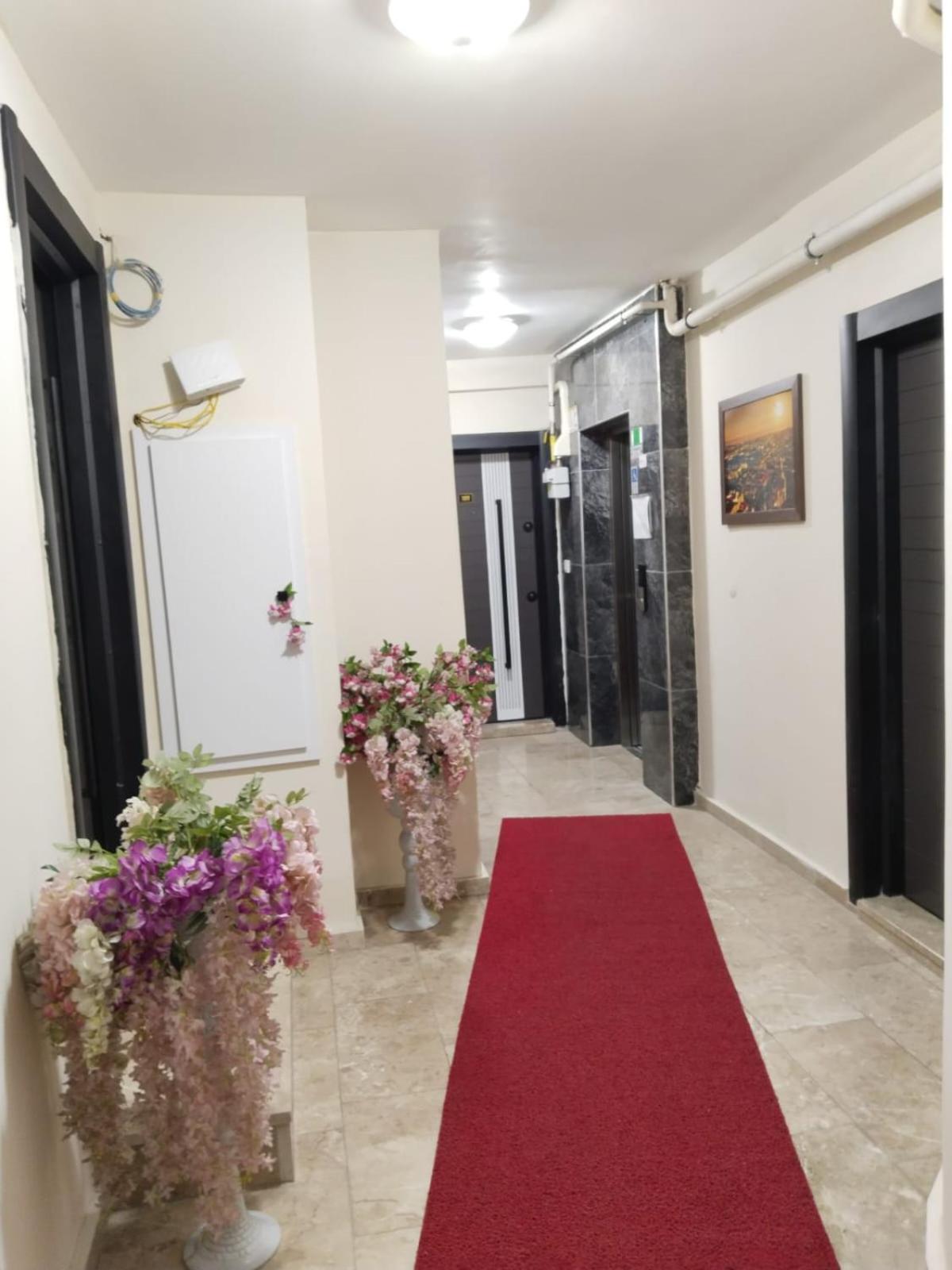 Loya Apartment *